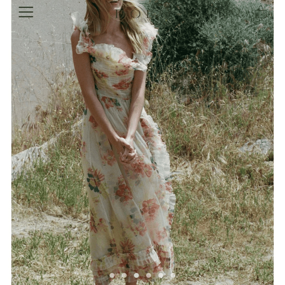 Doen Ernestine Dress RARE Sweet Gardenia Silk Organza Maxi SZ L Fairy Coquette - Picture 5 of 16